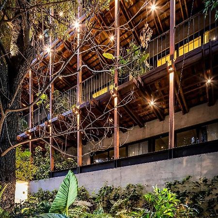 Ana Polanco Apartments Meksika Dış mekan fotoğraf