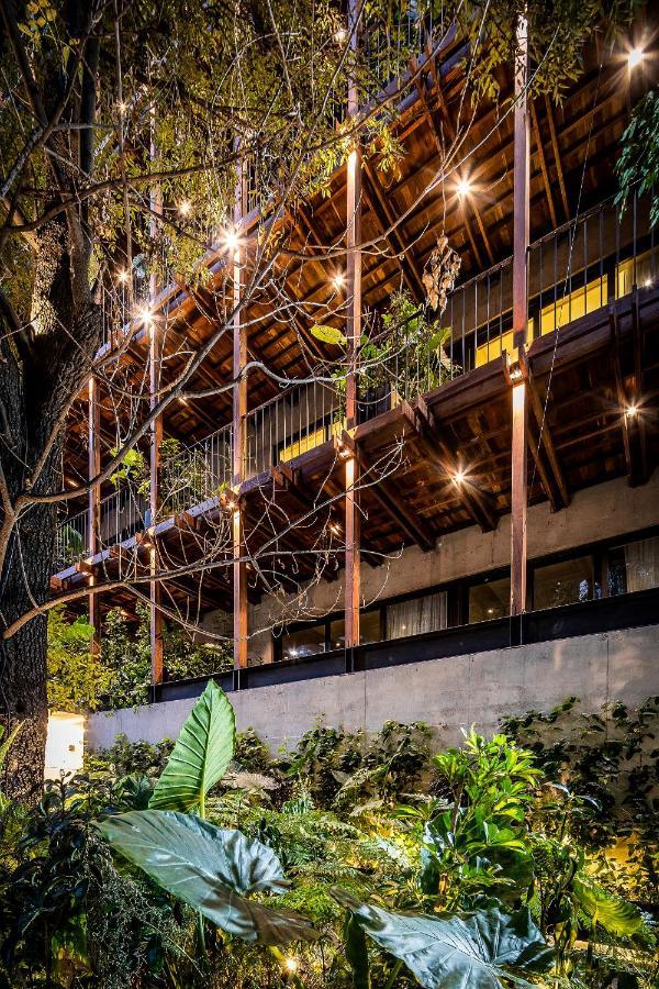 Ana Polanco Apartments Meksika Dış mekan fotoğraf
