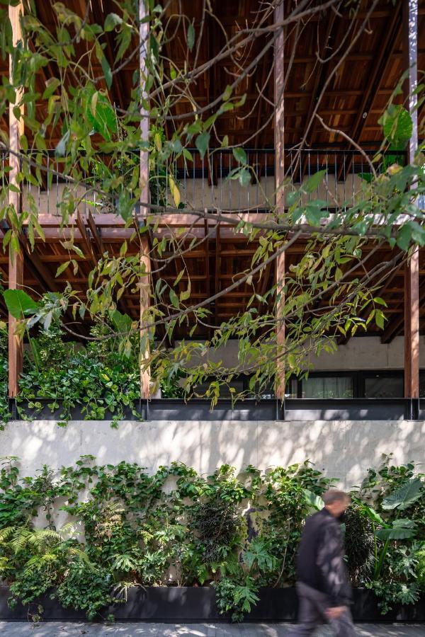 Ana Polanco Apartments Meksika Dış mekan fotoğraf
